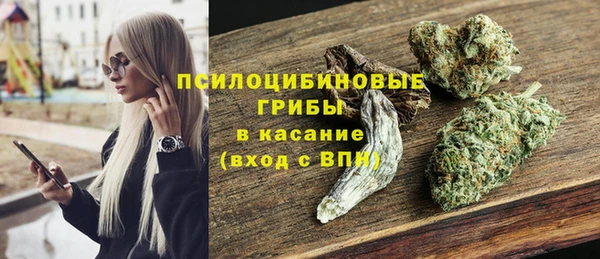 МДПВ Абдулино