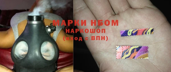 соль ск Алзамай