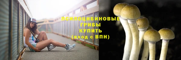 spice Алексеевка