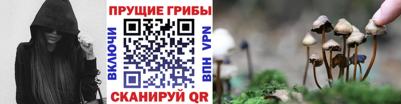 Псилоцибиновые грибы ЛСД  где продают   Томилино 